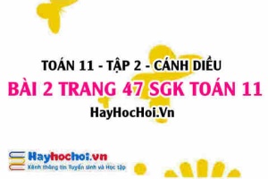 Bài 2 trang 47 Toán 11 tập 2 Cánh Diều